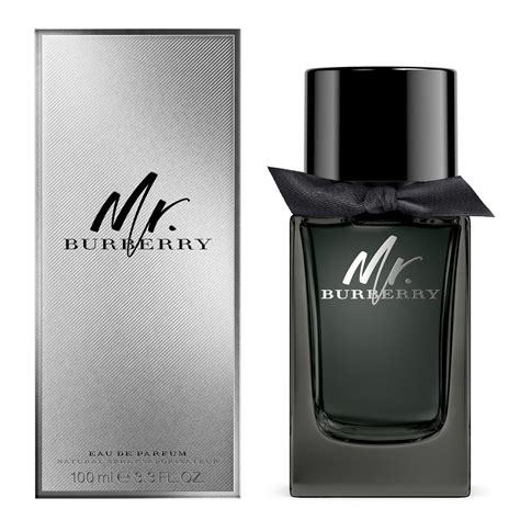 perfume mr burberry masculino|burberry perfume for men's price.